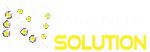 magnussolution